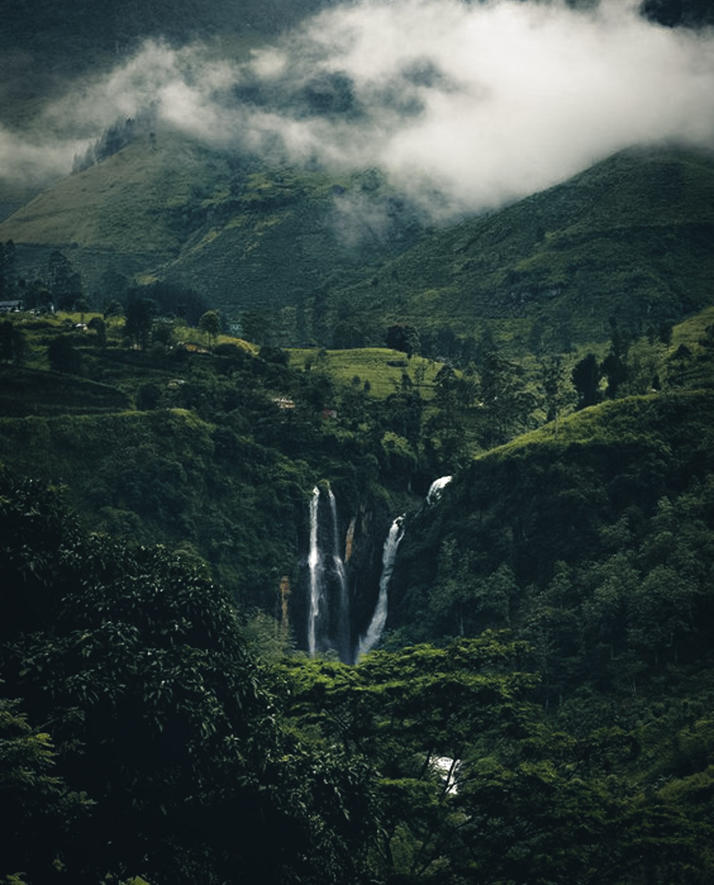 Kandy to Ella Train - World’s Most Scenic Train Ride in Sri Lanka